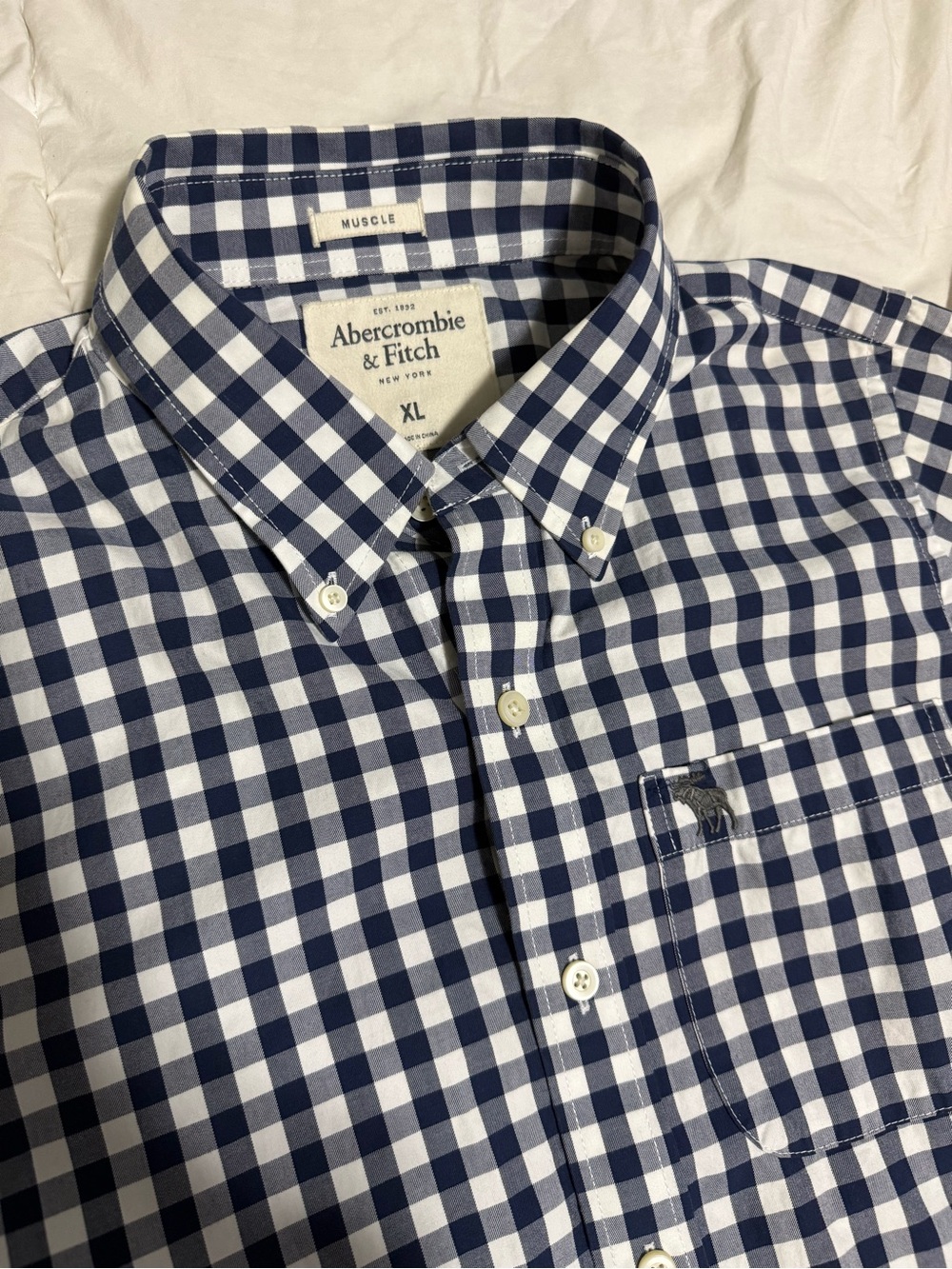 Abercrombie & Fitch Navy and White Check Button-Down Shirt